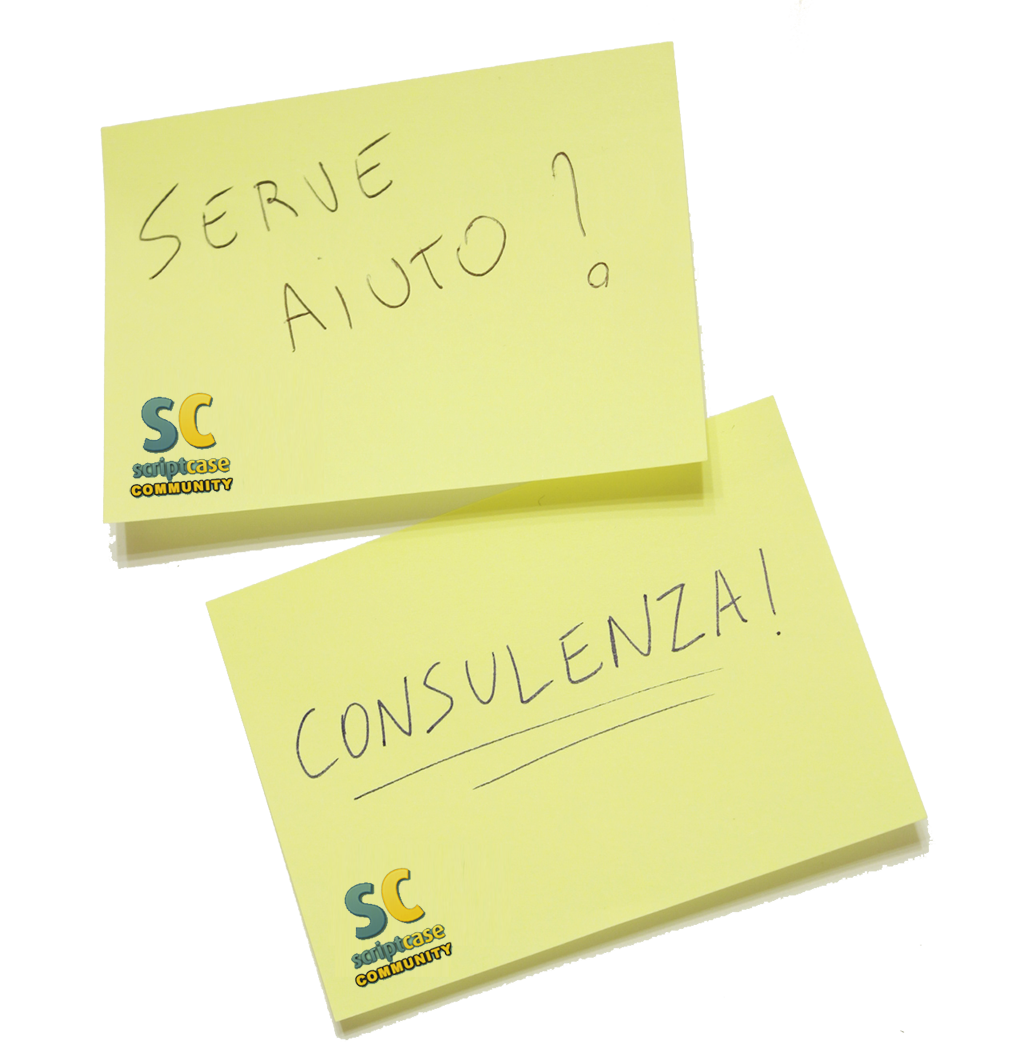 Consulenza e supporto Scriptcase